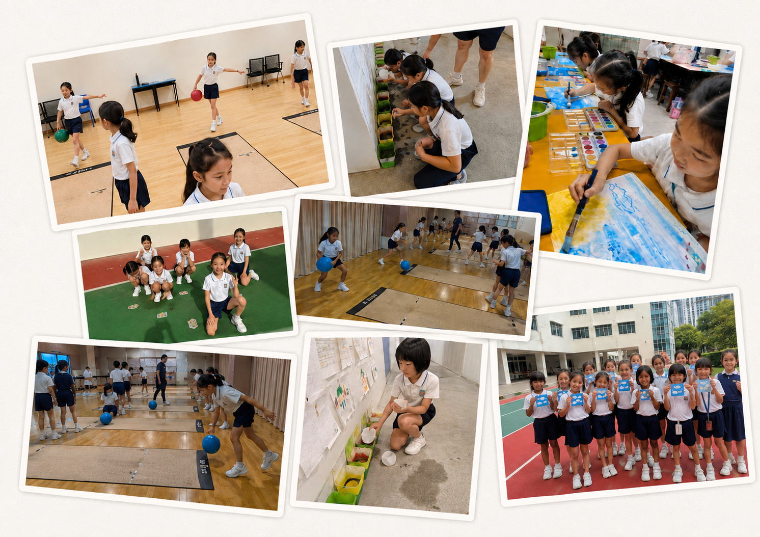 PAL collage